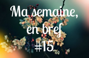 Ma semaine en bref 15