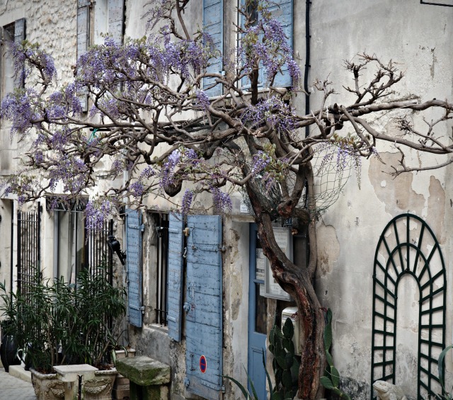 Saint Remy de Provence blog lifestyle marseille lemagalire