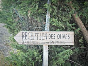 Terre de Mistral blog lifestyle marseille lemagalire