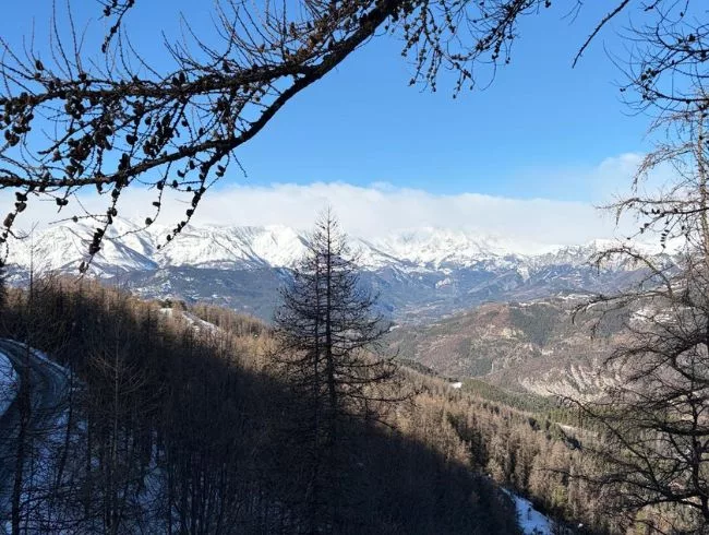 balade raquettes valberg